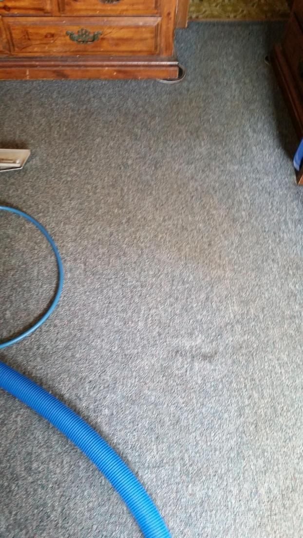 After a completed carpet cleaning project in the  area