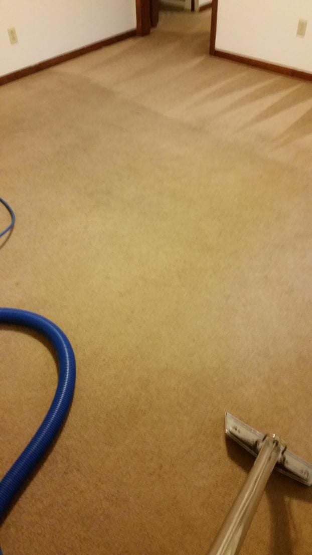 A recent professional carpet cleaning company job in the  area